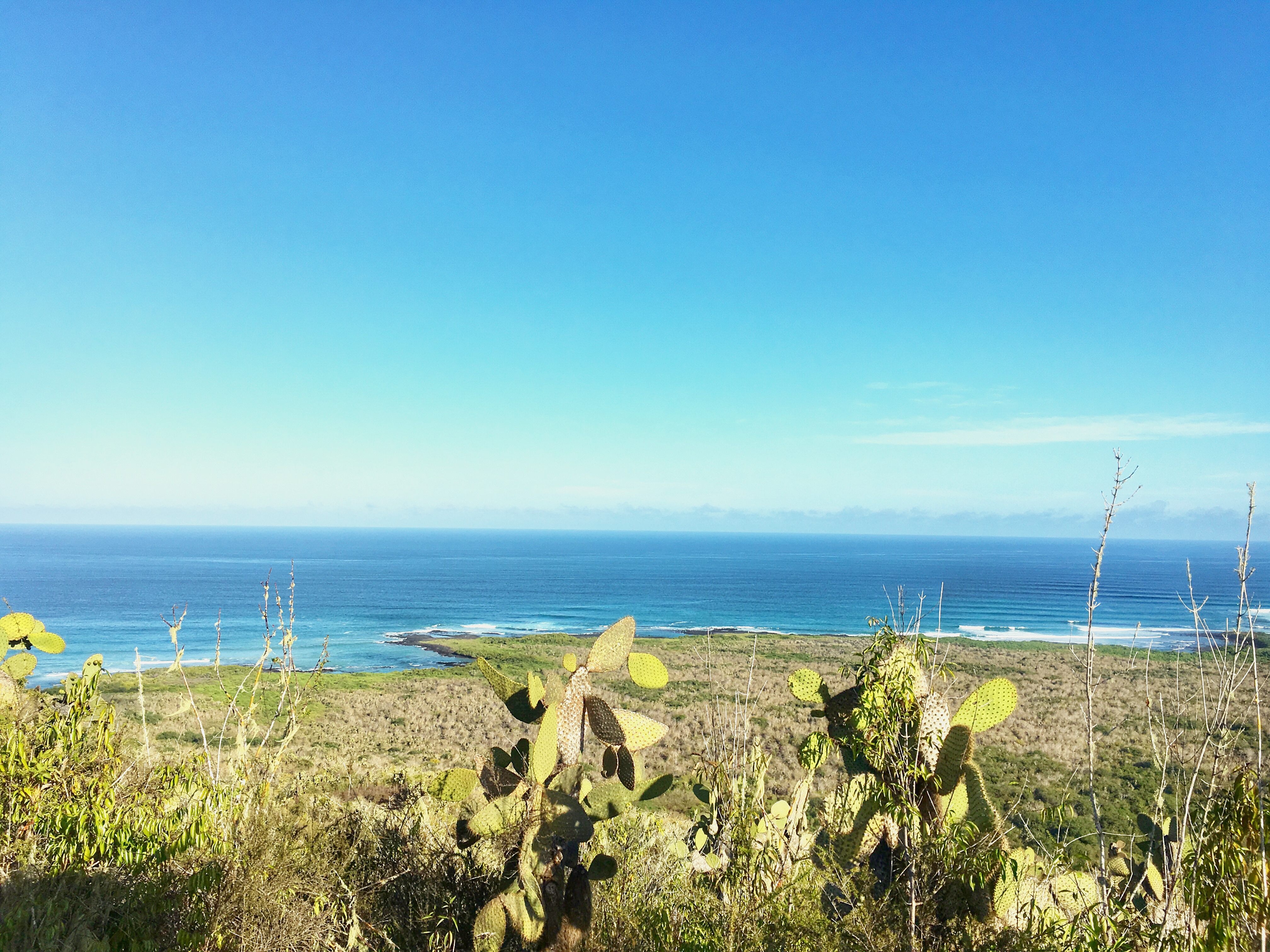viajar a isla isabela en galapagos ecuador